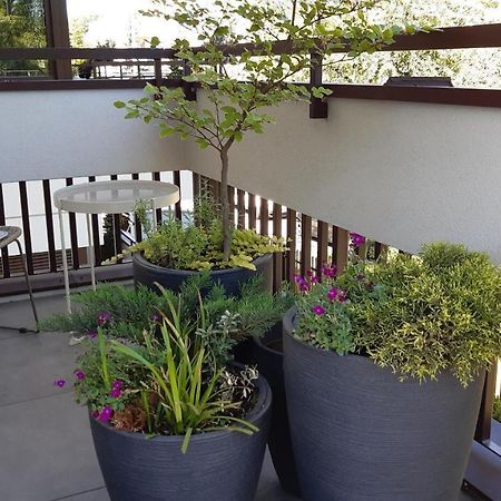 4Four Apartment, Villa Moderno, Taras, Parking Podziemny Thorn Exterior foto